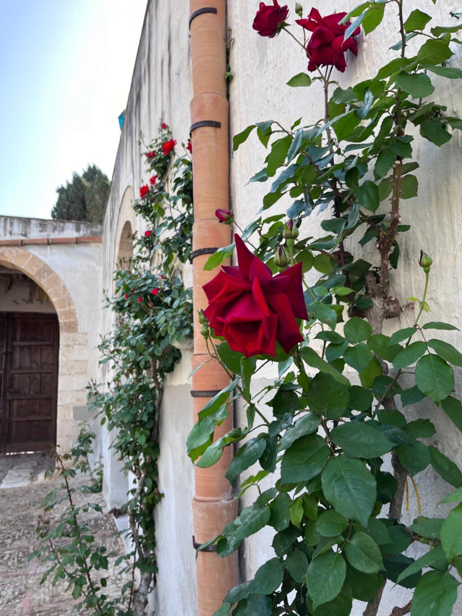 Vila Baglio Fontanasalsa Paceco Exteriér fotografie